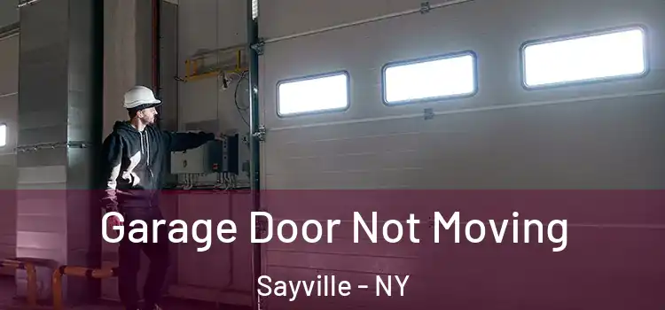  Garage Door Not Moving Sayville - NY
